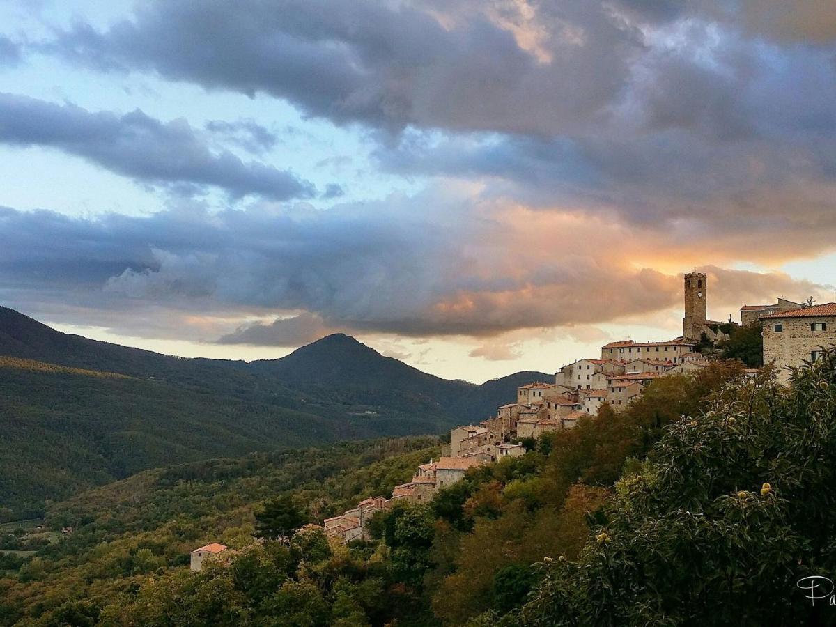 Atmospheric Apartment In Authentic House Near Beautiful Sasso Pisano Dış mekan fotoğraf